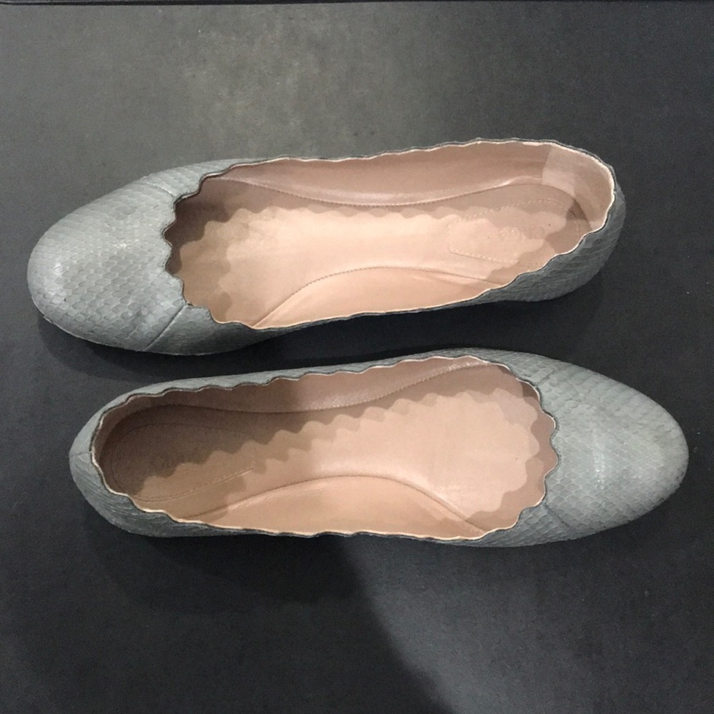 Chloe Grey Snakeskin Scallop Flats